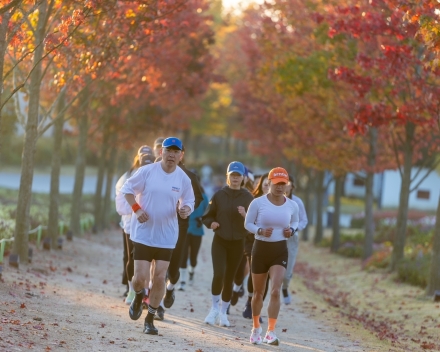 가장 아름다운 10km, 순천만국가정원 '챌린지 가든런' 개최